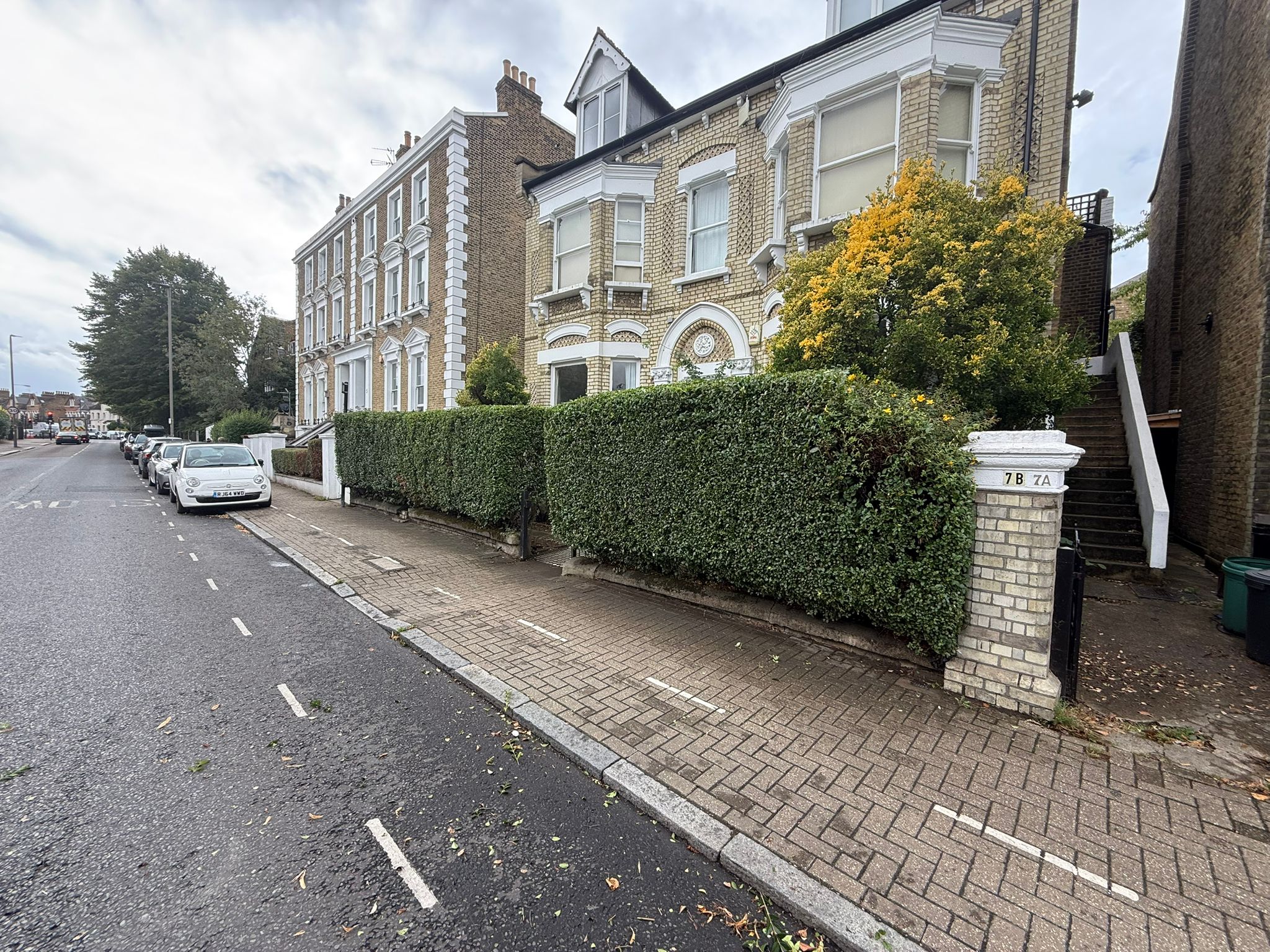 Front Garden Hedge Boundary
