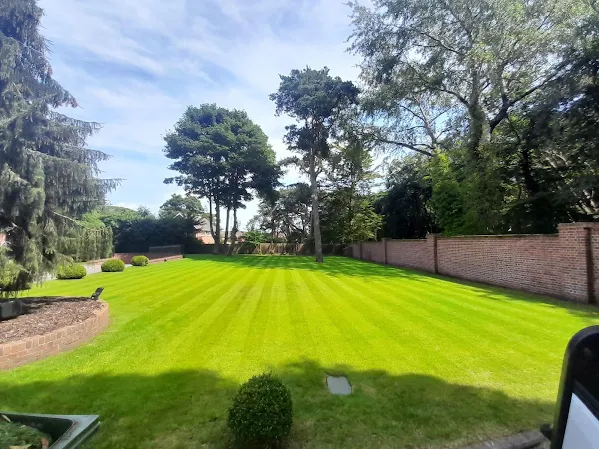 Large Estate Professional Cutting