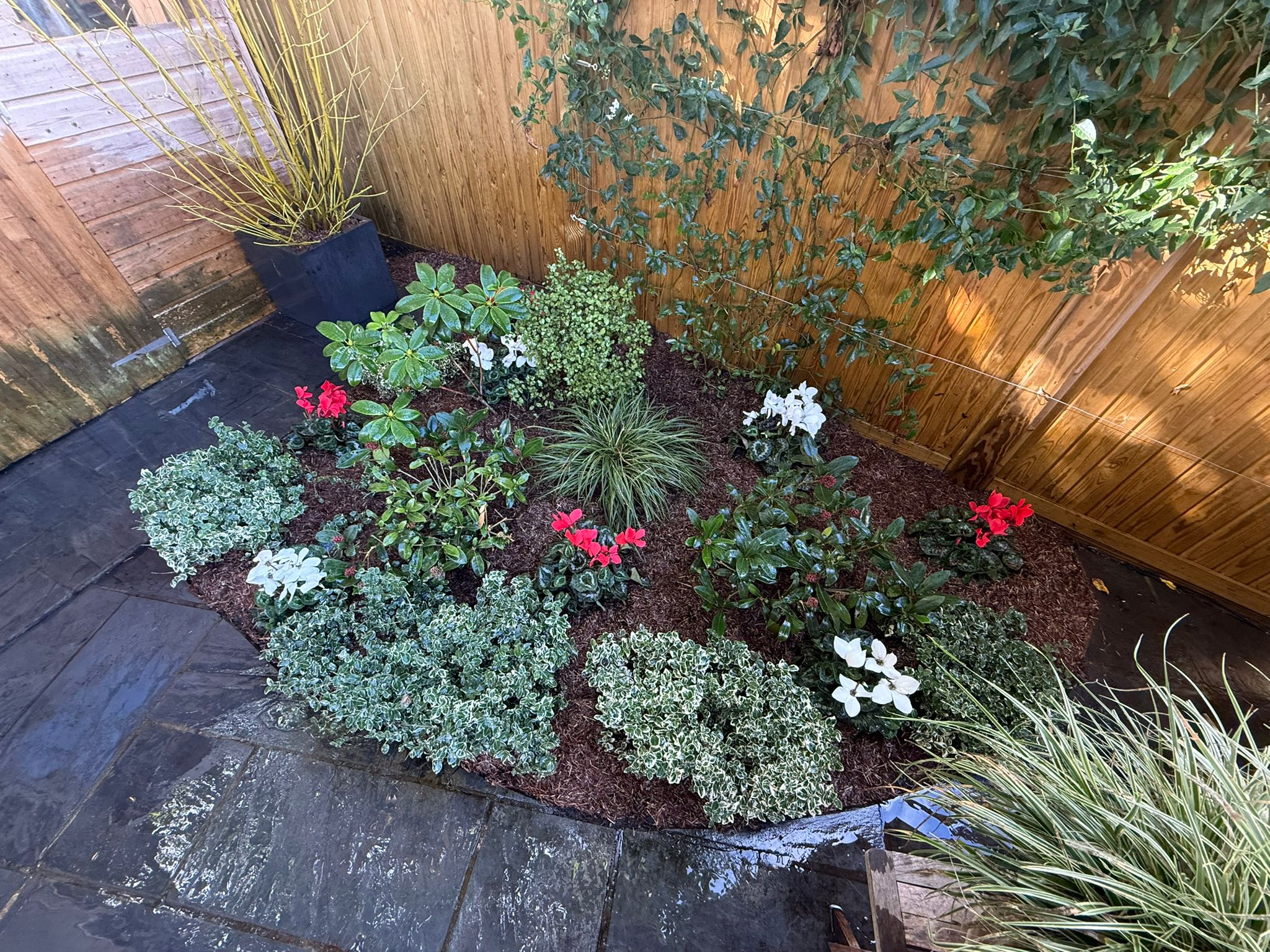 Seasonal Flower Bed Planting